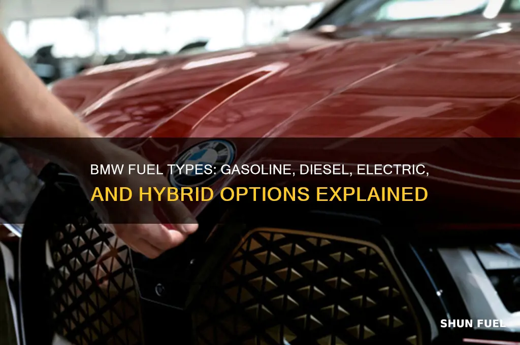 what type of fuel does a bmw use
