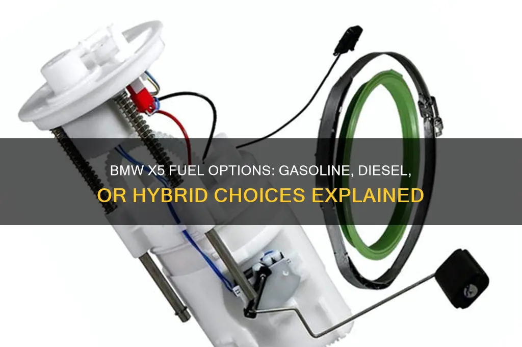 what type of fuel does a bmw x5 use