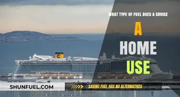 What Fuel Powers a Cruise Ship: A Comprehensive Guide