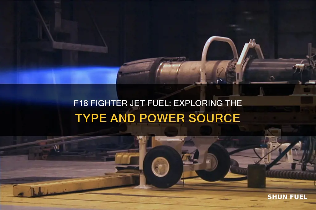 what type of fuel does a f18 use
