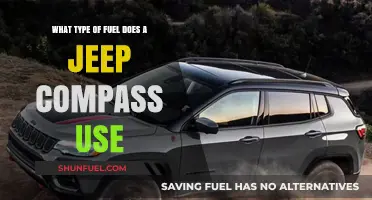 Jeep Compass Fuel Type: Gasoline, Diesel, or Hybrid Options Explained