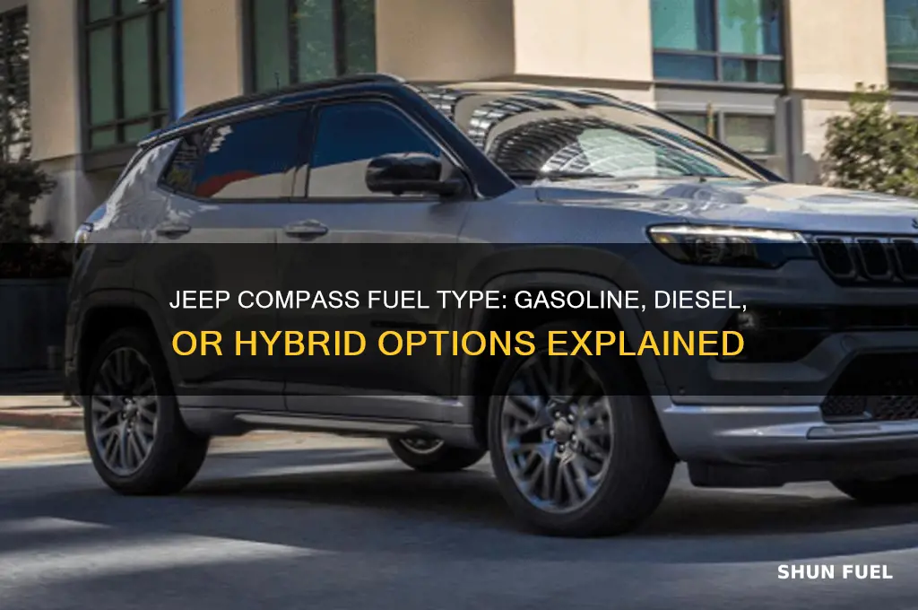what type of fuel does a jeep compass use