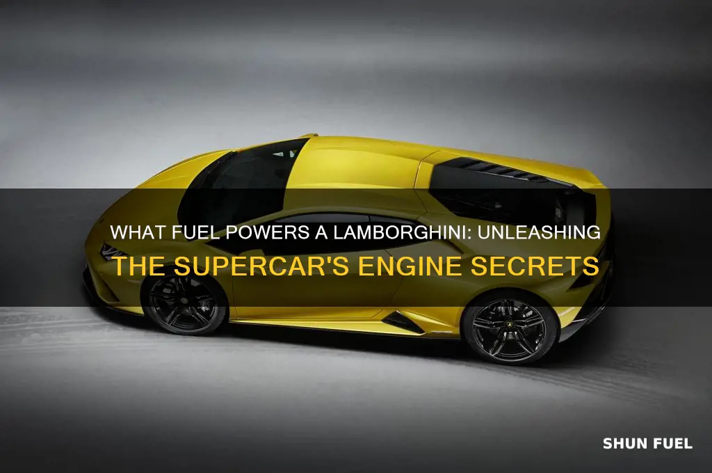 what type of fuel does a lamborghini use