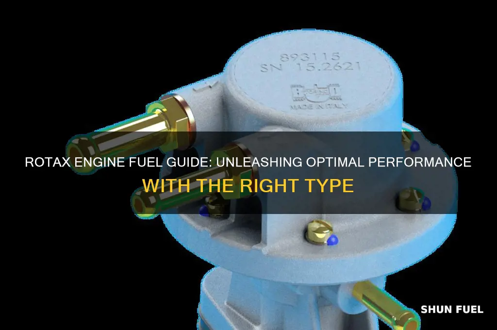 what type of fuel does a rotax engine use