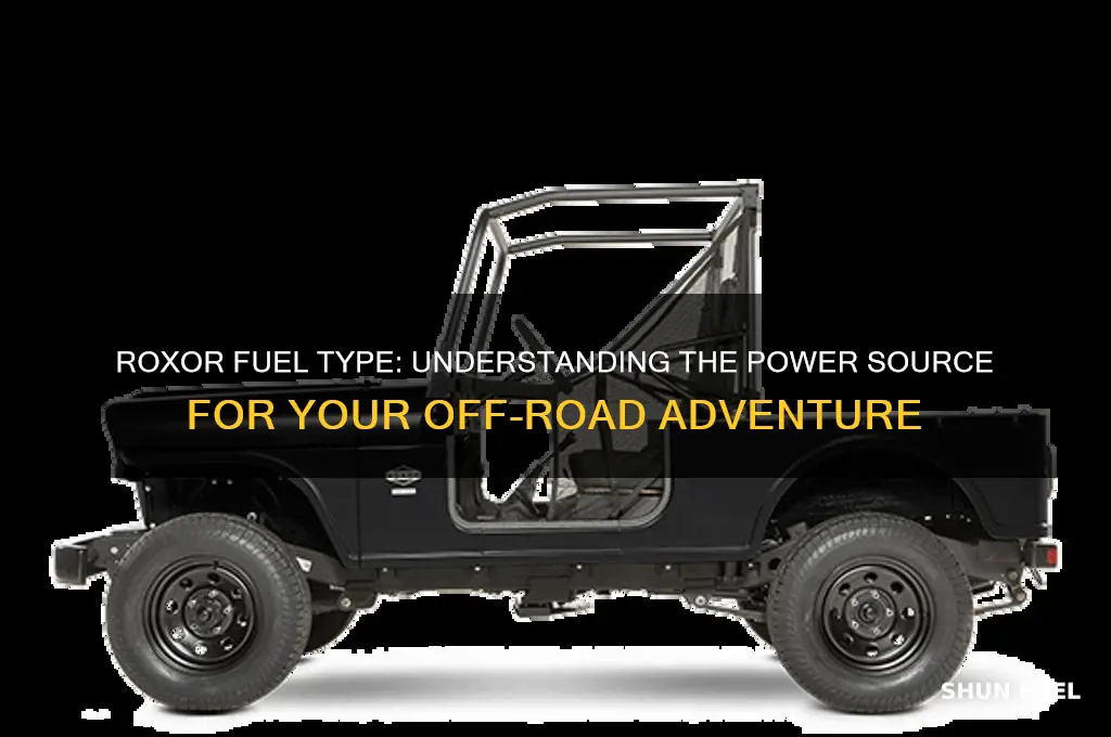 what type of fuel does a roxor use