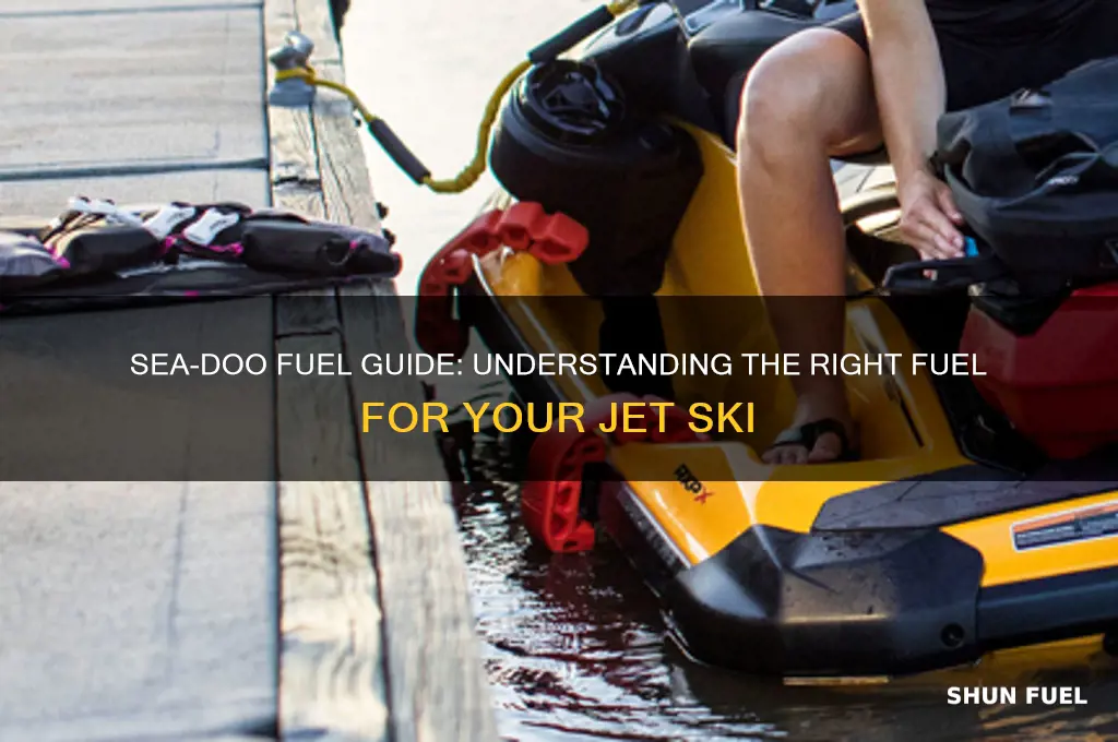 what type of fuel does a sea doo use