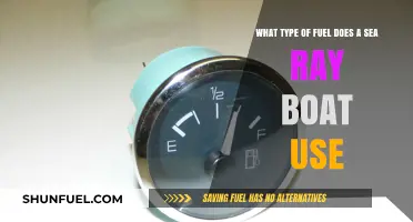 Sea Ray Boat Fuel Guide: Types and Best Options Explained