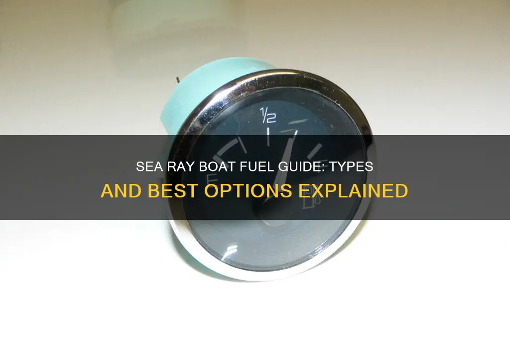 what type of fuel does a sea ray boat use