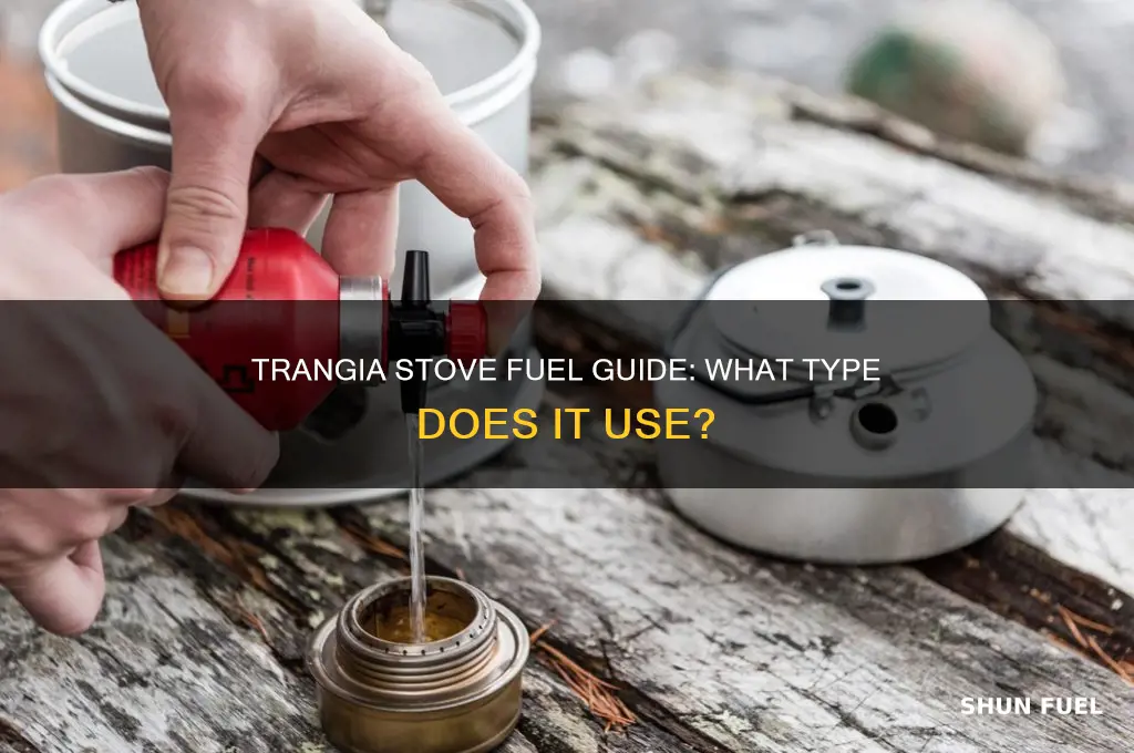 what type of fuel does a trangia stove use