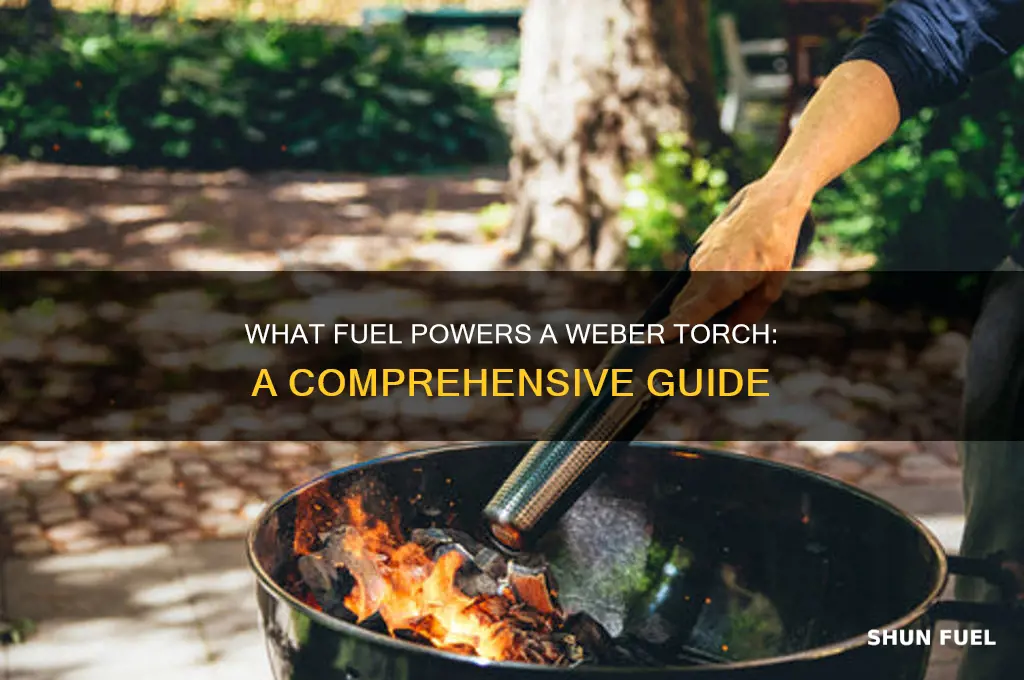 what type of fuel does a weber torch use