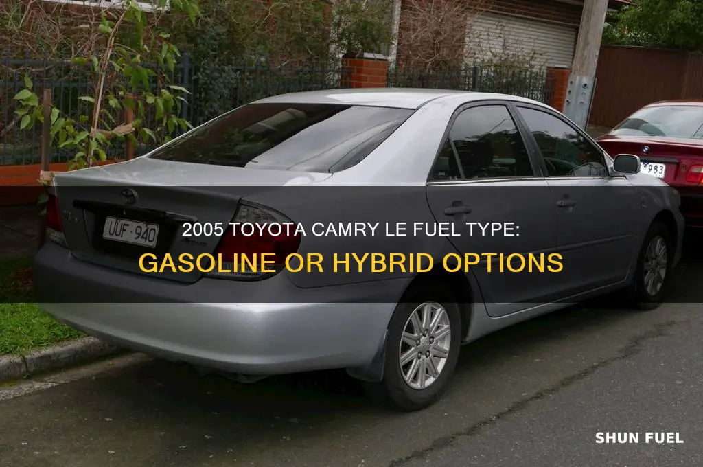 what type of fuel does camry le 2005 use