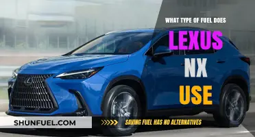 Lexus NX Fuel Type: Gasoline, Hybrid, or Electric Options Explained
