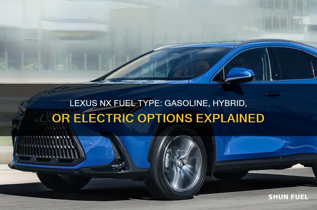 what type of fuel does lexus nx use