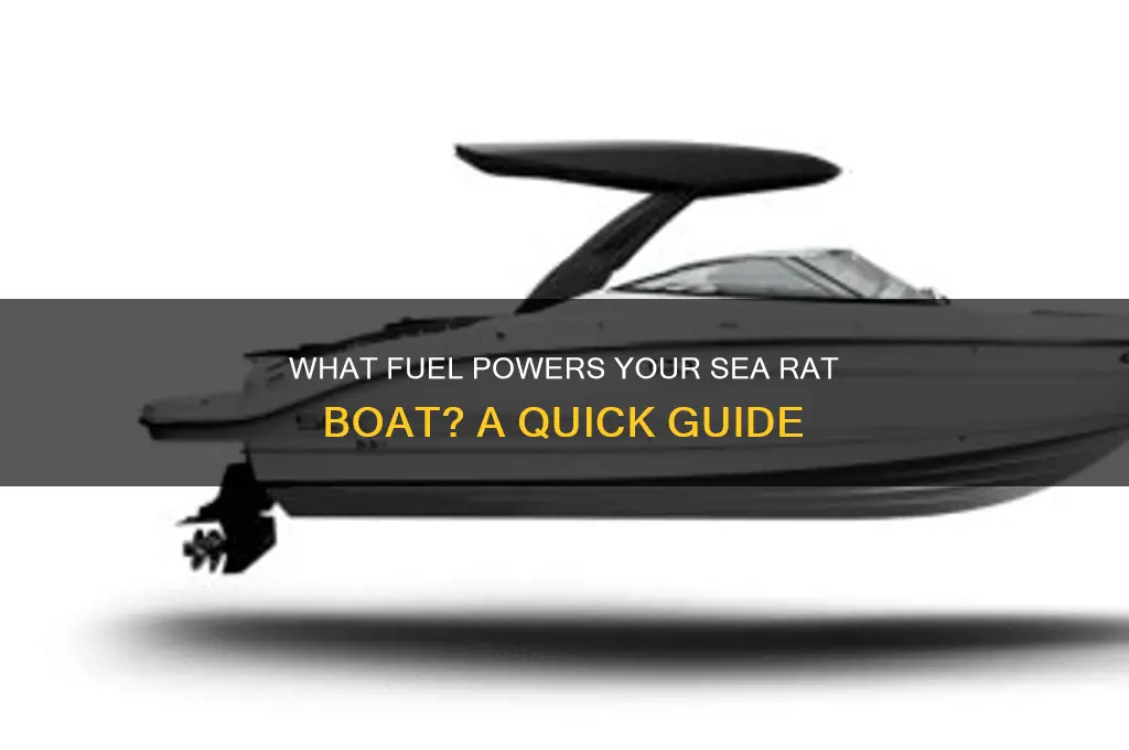 what type of fuel does my sea rat boat use
