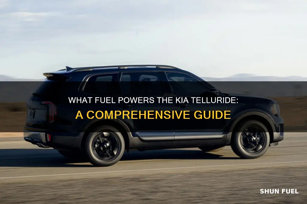 what type of fuel does telluride use