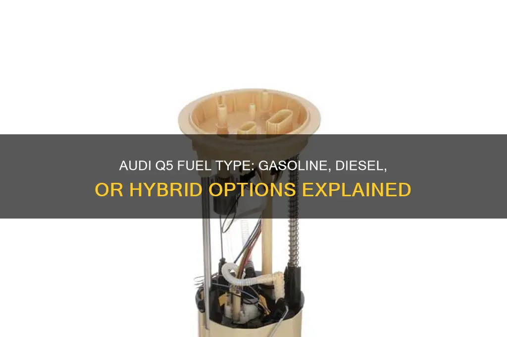 what type of fuel does the audi q5 used