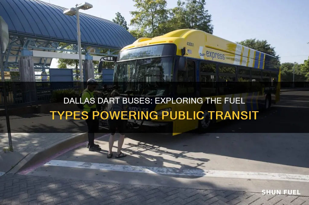 what type of fuel does the dallas dart buses use