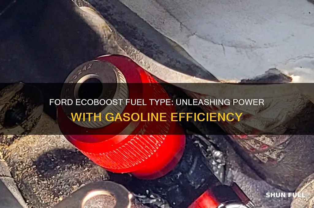 what type of fuel does the ford ecoboost used