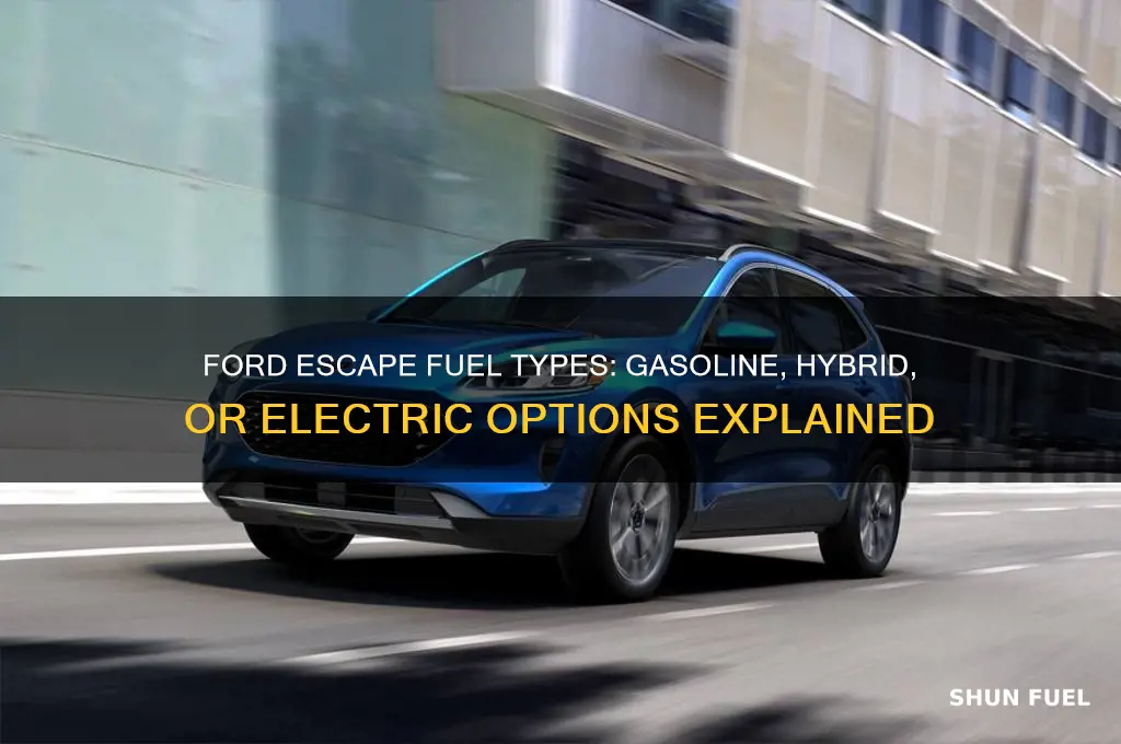 what type of fuel does the ford escape use