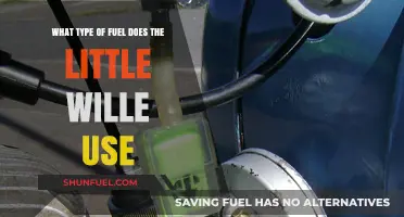 What Fuel Powers the Little Wille? A Comprehensive Guide