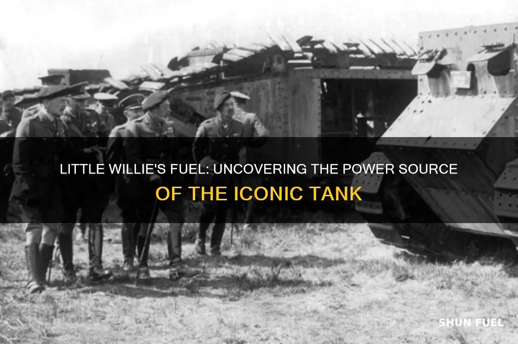 what type of fuel does the little willie use