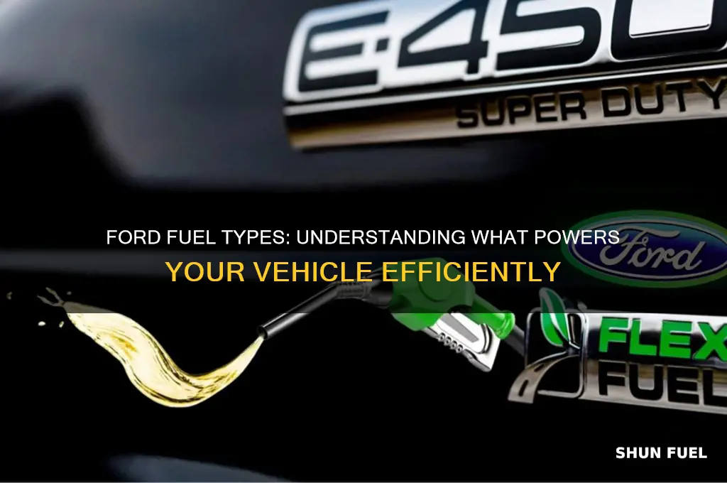 what type of fuel does this vehicle use ford