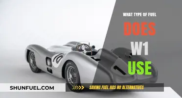 Understanding the Fuel Requirements for the Mercedes-Benz W1 Series