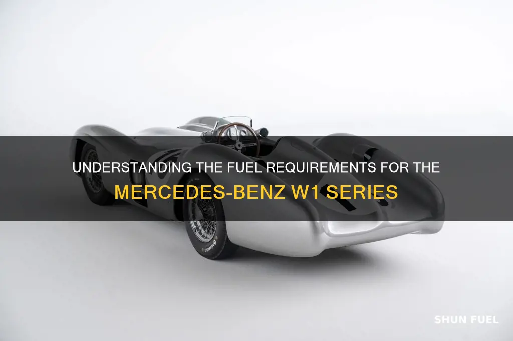 what type of fuel does w1 use