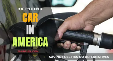 The Fuel Americans Use in Their Cars