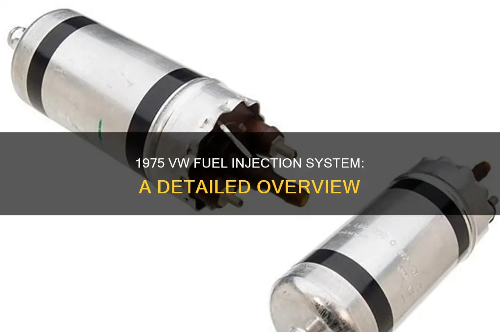 what type of fuel injenction did vw use in 1975