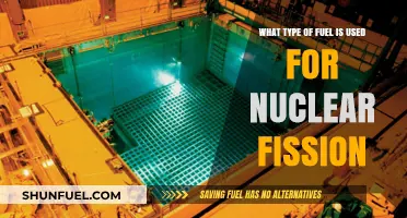 Understanding Nuclear Fission: The Specific Fuel Types That Power Reactors