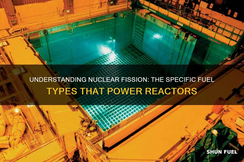 what type of fuel is used for nuclear fission