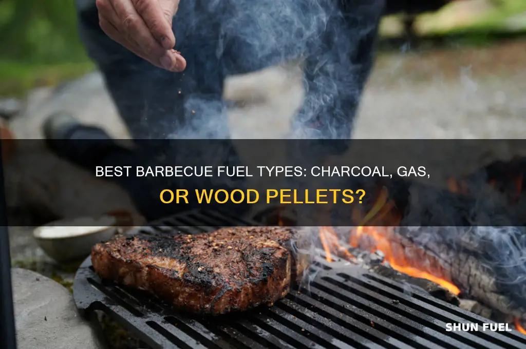 what type of fuel is used in a barbecue