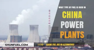 China's Power Plant Fuel Sources: Coal, Renewables, and Beyond