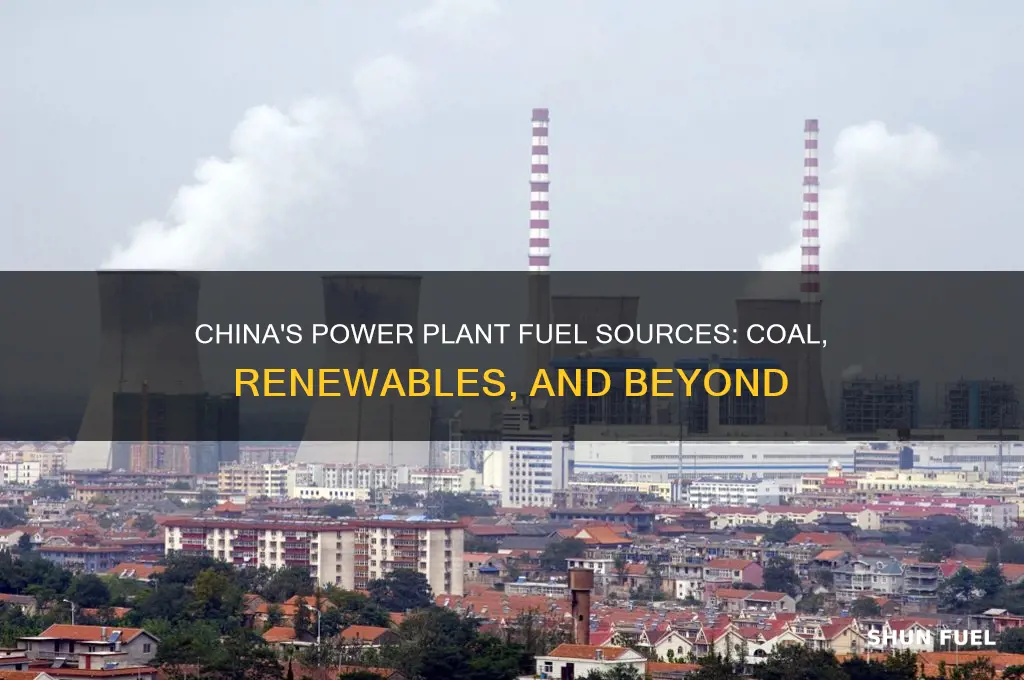 what type of fuel is used in china power plants