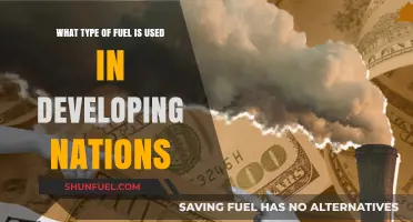 Exploring the Primary Fuel Sources Powering Developing Nations Today