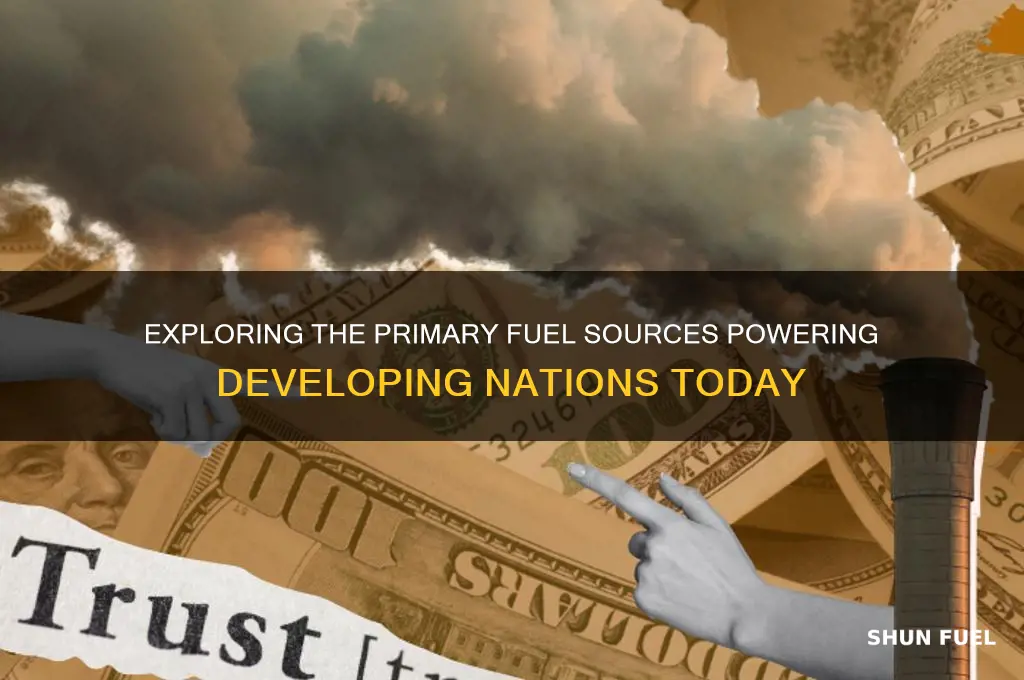 what type of fuel is used in developing nations