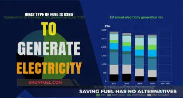 Exploring the Diverse Fuels Powering Global Electricity Generation