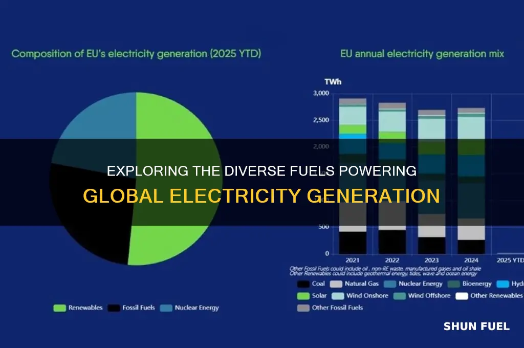 what type of fuel is used to generate electricity