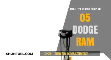 Dodge Ram 05 Fuel Pump Types: A Comprehensive Guide