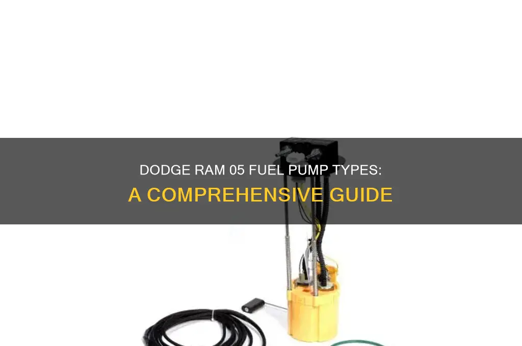 what type of fuel pump on 05 dodge ram