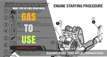 Best Fuel for Ryobi BP42 Gas Backpack Blower: A Guide