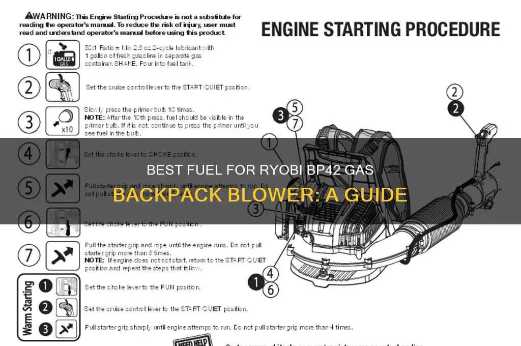 what type of fuel ryobi bp42 gas to use