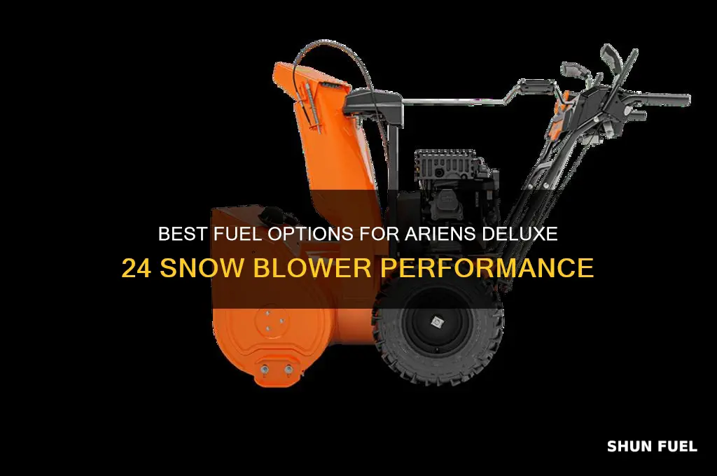 what type of fuel to use for ariens deluxe 24