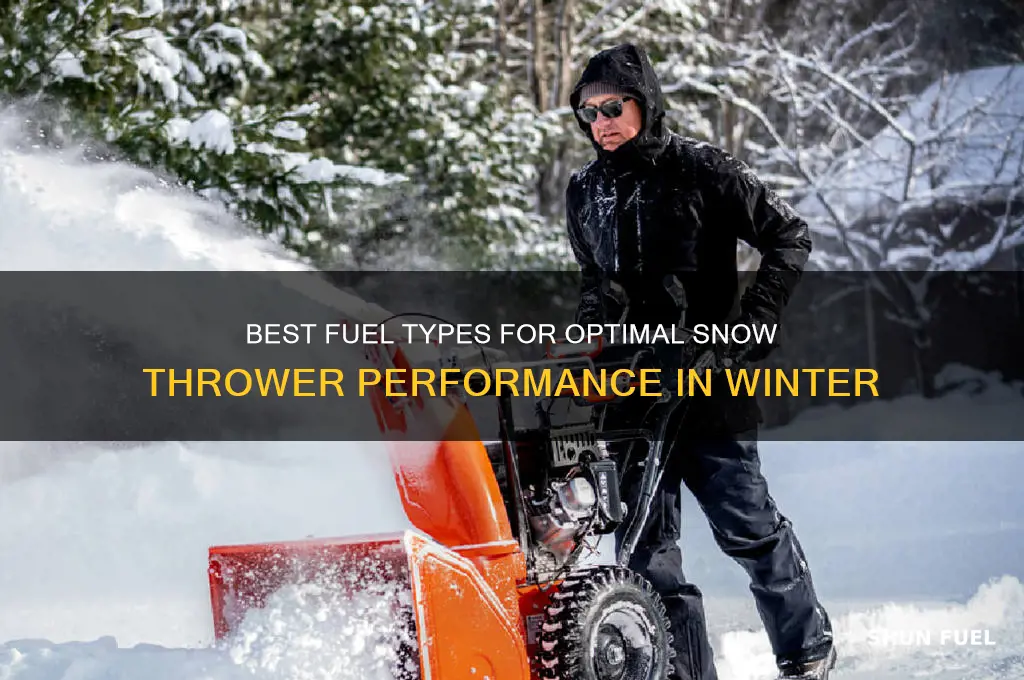 what type of fuel to use in snow thrower
