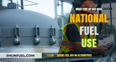 What Type of Gas Does National Fuel Use? A Comprehensive Guide