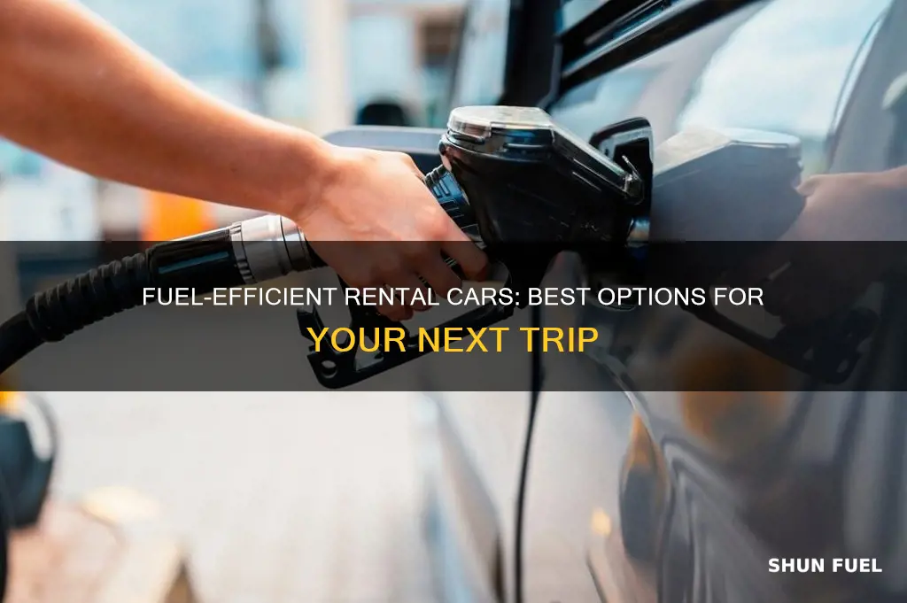 what type of rental car for fuel efficiency