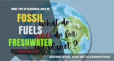 Fossil Fuels, Freshwater, and Beyond: Exploring Earth's Vital Resources