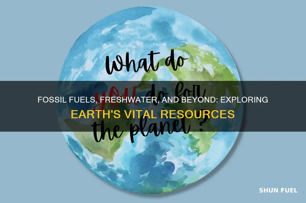 what type of resources such as fossil fuels freshwater