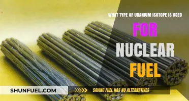 Uranium-235: The Key Isotope Powering Nuclear Fuel Reactors